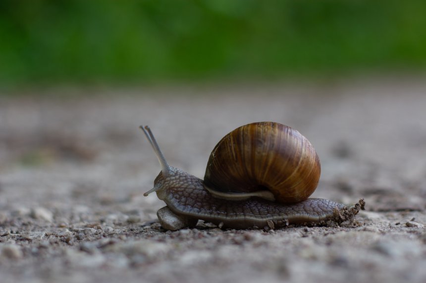 Преодоление - Матвей