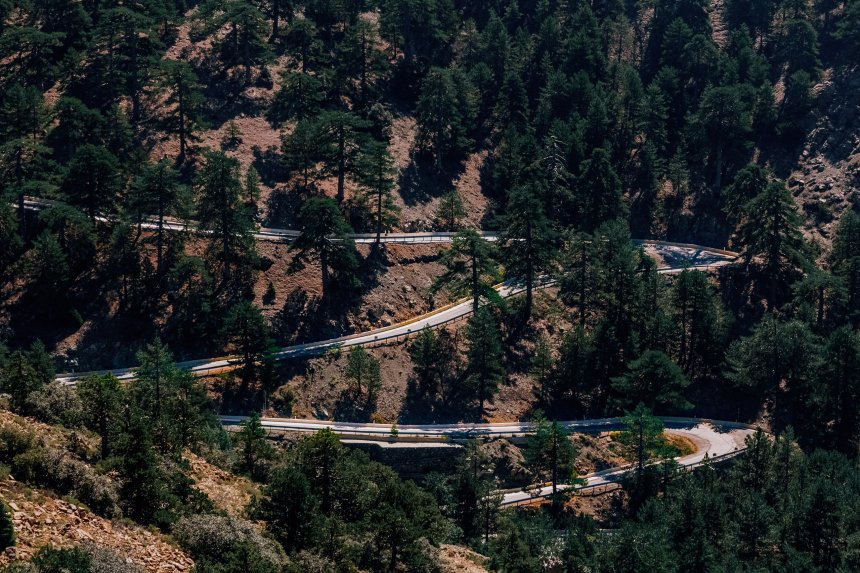 Roads are like veins - Анна Орманжи