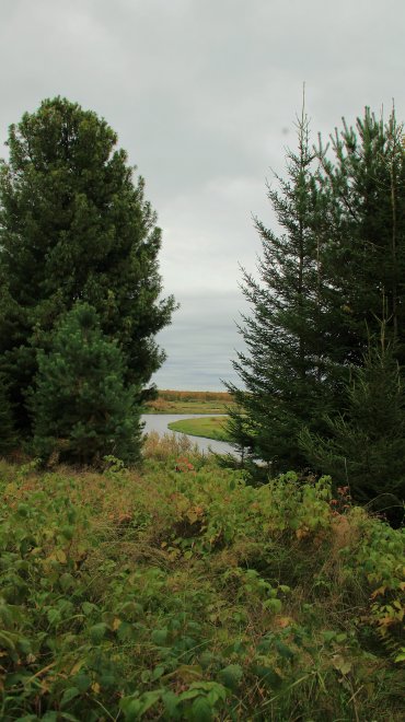 По просторам рек Тыма и Польты Каргасокского района Томская область - Виталий (1/8)