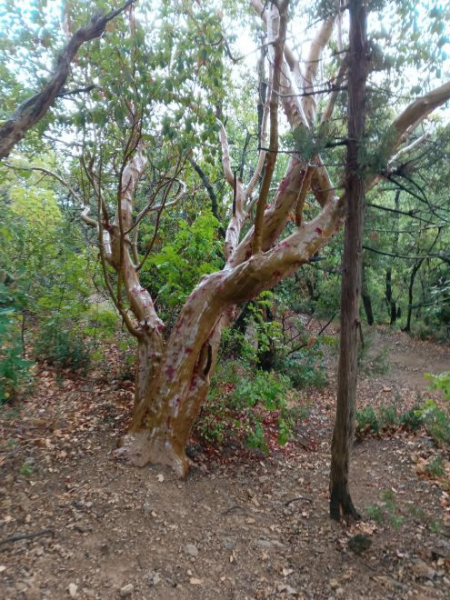 Сказочный Крым ! Чудеса Природы в Крыму! - Юлия (1/8)