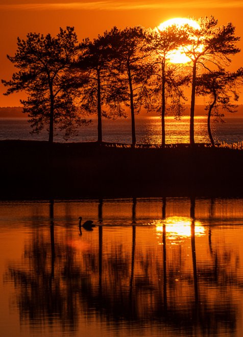 В свете Балтийского заката - Максим Смоляк