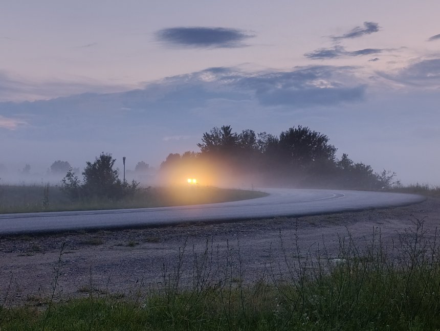 В тумане - Анна Маилян