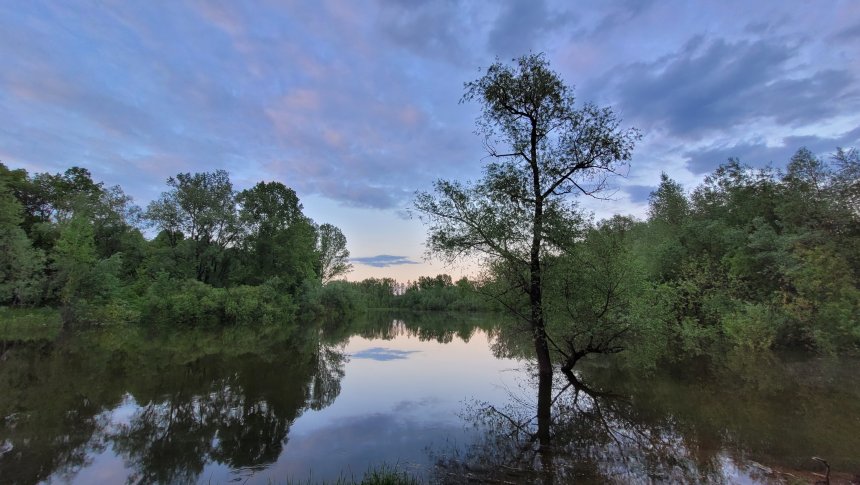 На реке Буй - Роза