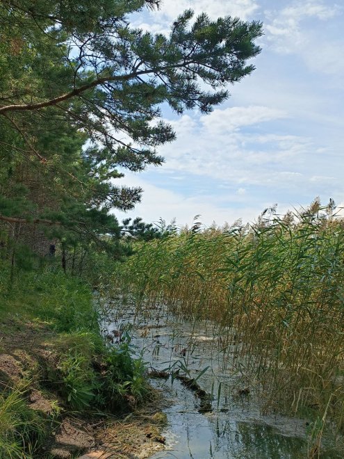 Летние путешествия - Дарья (1/8)