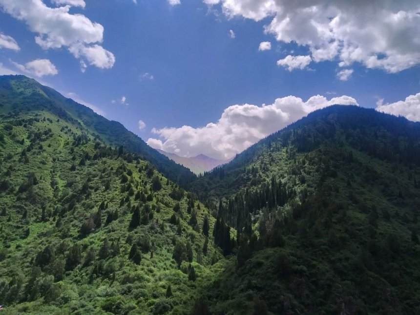 Магия Природы - Элеонора Муктарова