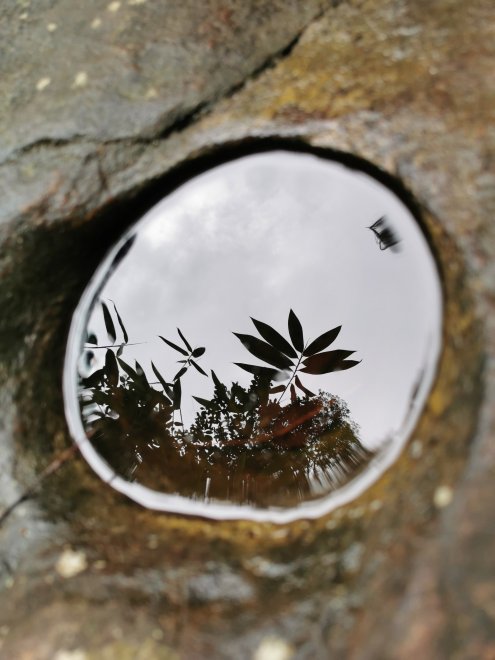 Удивительная Шри Ланка - Лариса Шепелева (1/8)