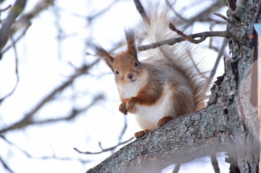 Любопытная красавица - Мария
