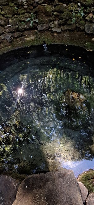 Небесный взор -  