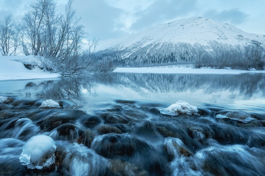 Зимняя сказка - Ирина  Мошковская