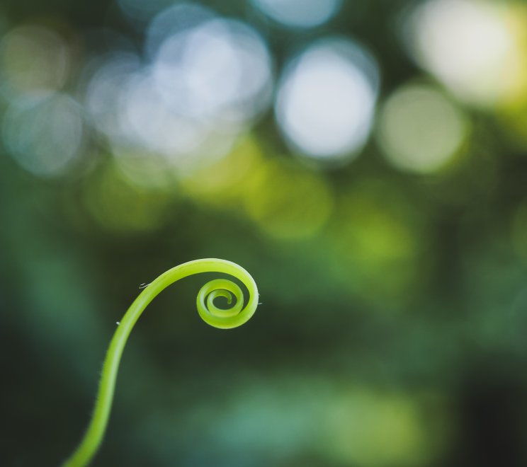 Здравствуйте! - Наталья