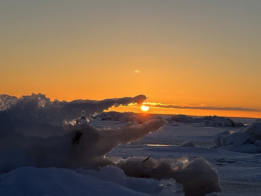 Крокодил солнце в небе проглотил! - Виктория