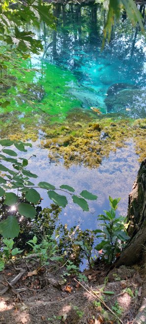 Удивительные краски природы - Татьяна