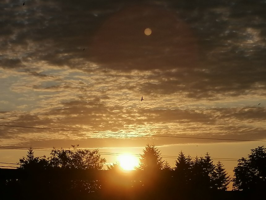 Солнце встает на Востоке. - Фурсов Олег