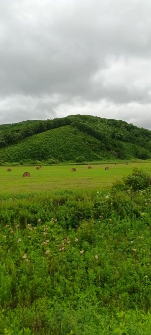 Дальневосточная природа - Марина (1/7)