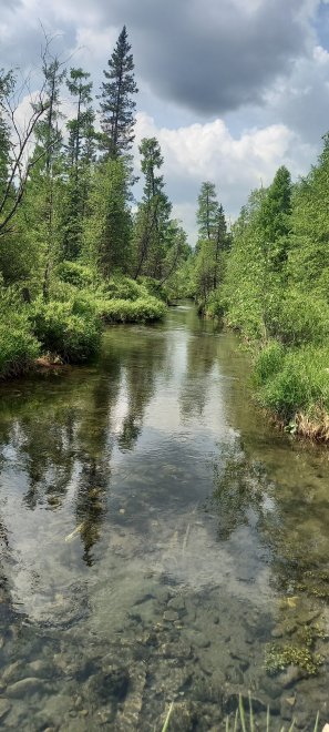 Отдыхай душа - Ирина Карпавичус