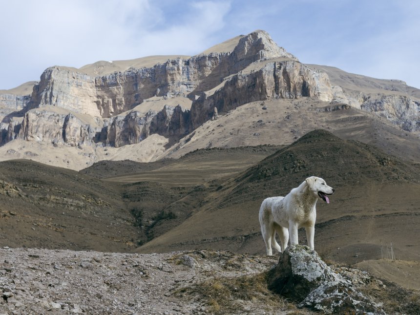 Повелитель гор - Дмитрий