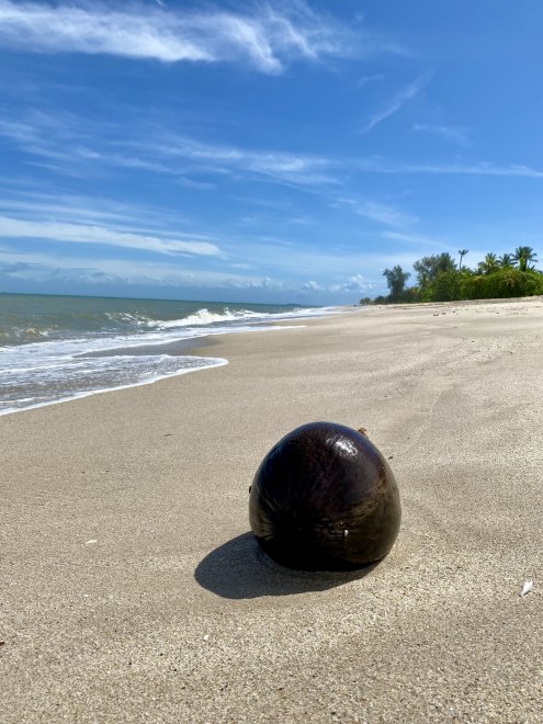 Кокос и море - Ekaterina Деревенко