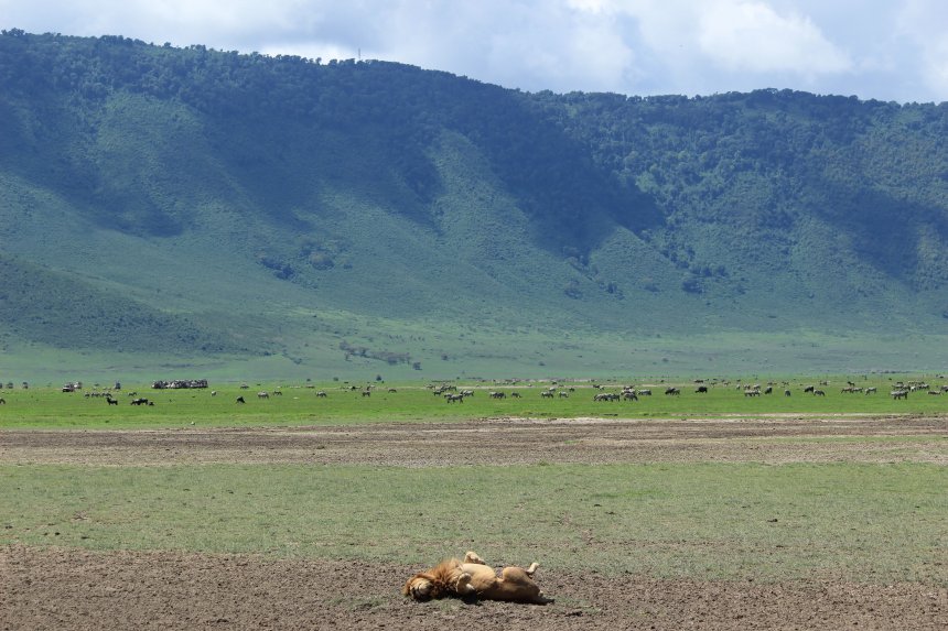 Кайф. Enjoyment. - Елена Шишмарева