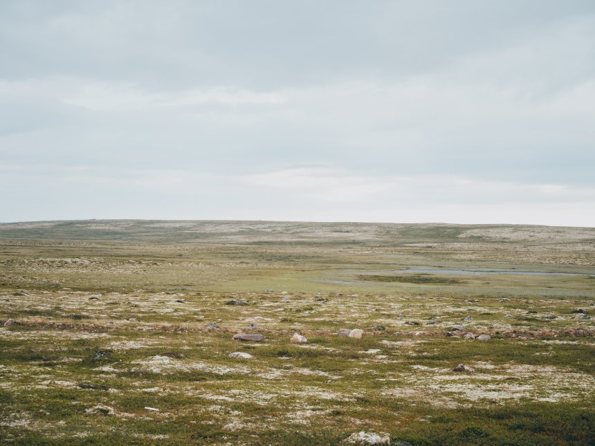 Тундра - Анастасия