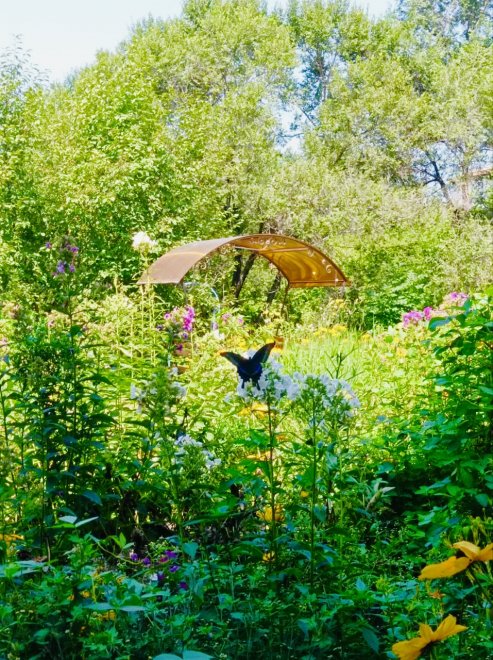 Рождённая летать -  