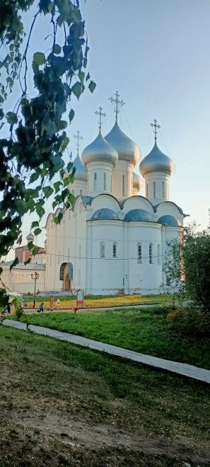 Резной палисад - Анна Абакшина (1/8)