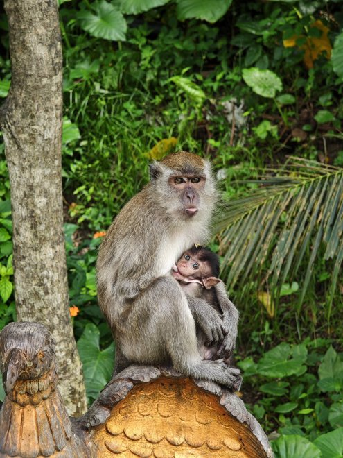 Дикие,но не чужие - Анна