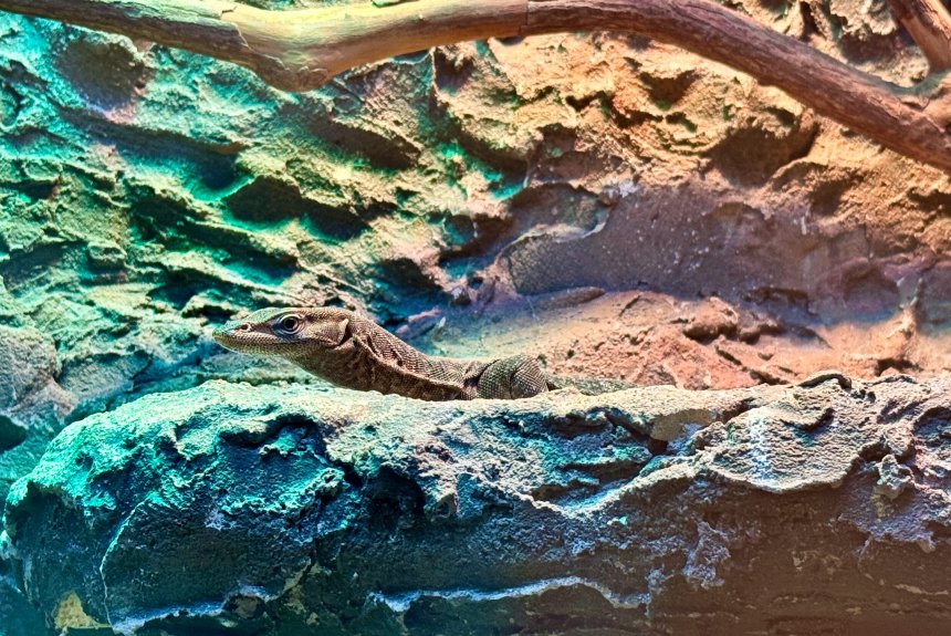 Таинство каменного мира -  