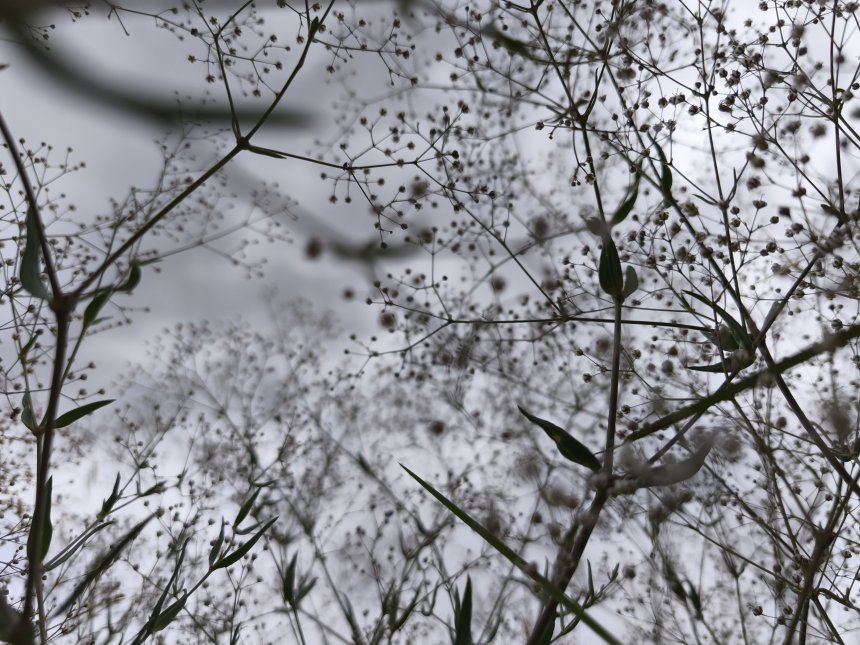 Взгляд снизу - Татьяна Ш.