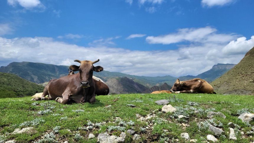 На берегу неба - Булат