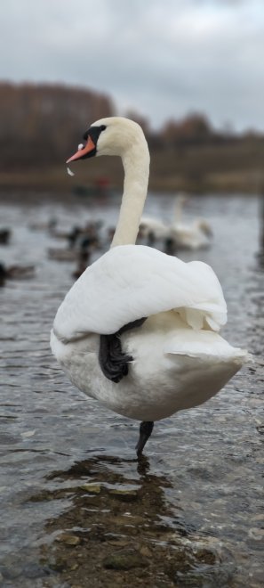 Путешествие во Псков - Сергей (1/5)