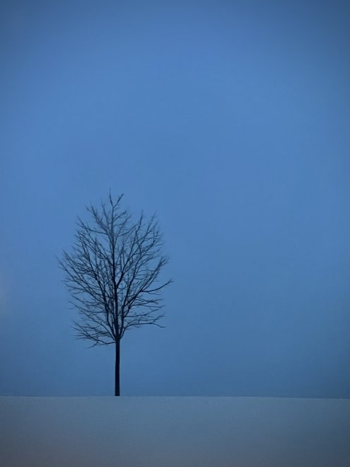 Сумерки - Юрий