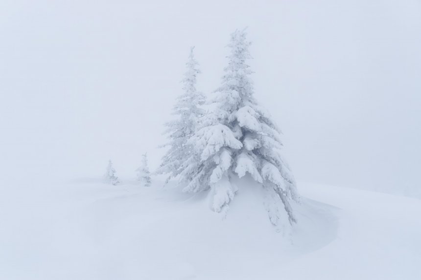 Спящие - Толстоноженко Илья