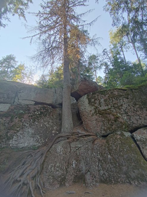 Жизнь в камне - Абакумов Иван