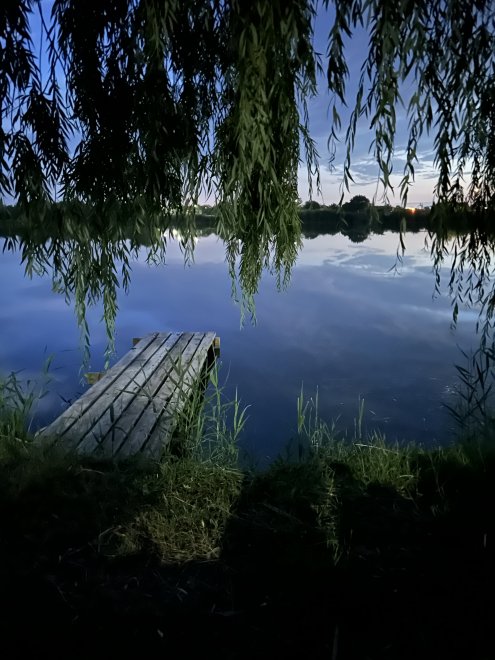 Сквозь года -  