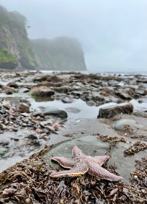 Там, где океан касается звезд - Антон Осенний - Антон