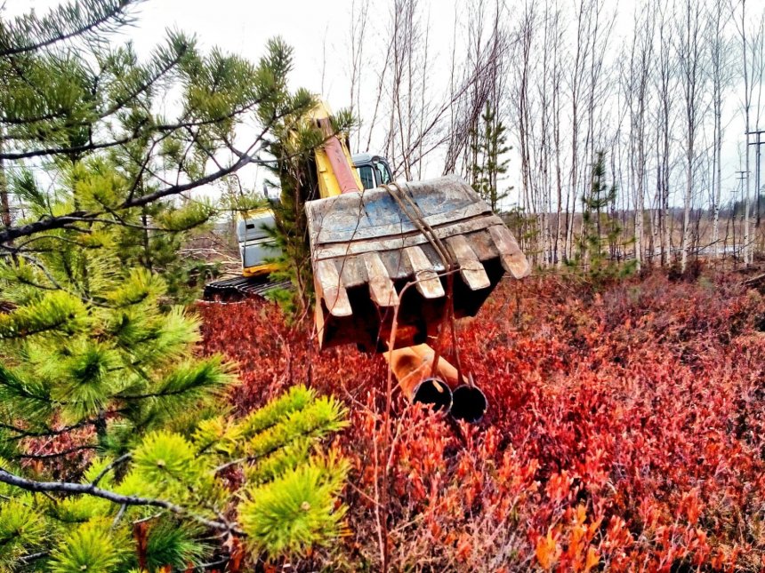 Ранимая красота тундры -  