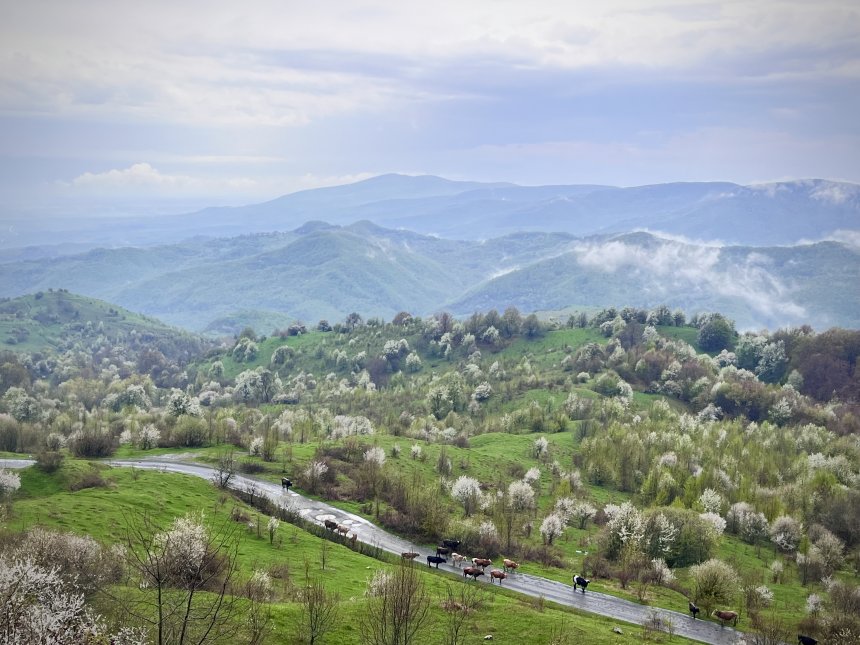 Вечность бытия - Ирина Бондарева
