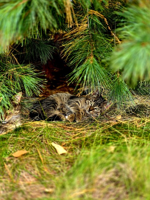 Беспечные глаза - Юлия