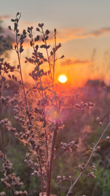 Простая красота -  