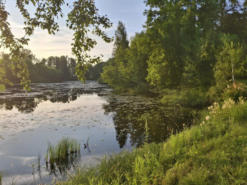 Вечер на Таборах – 1 - Павел