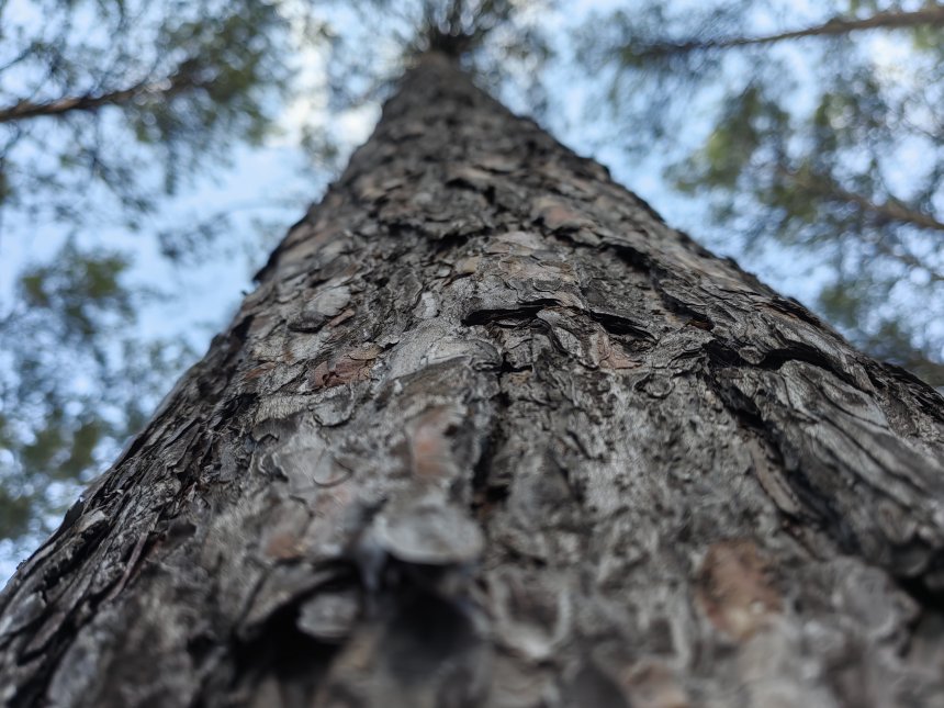 Дорога в небеса - Денис Порохов