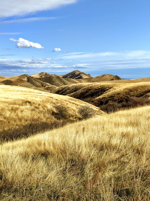 Золото горной Грузии -  