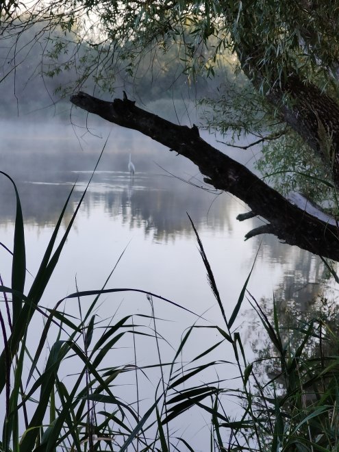Обнажённая - Анастасия