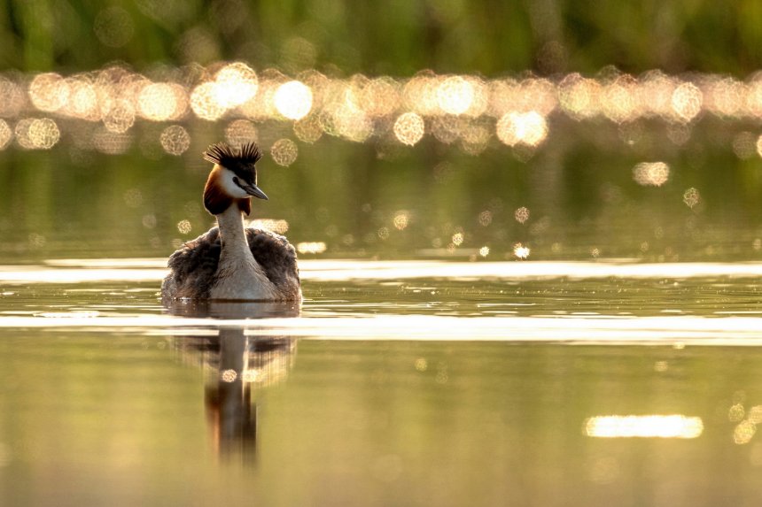 На рассвете - Константин Тучин