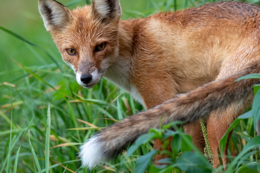 Вы следите за мной? - Людмила