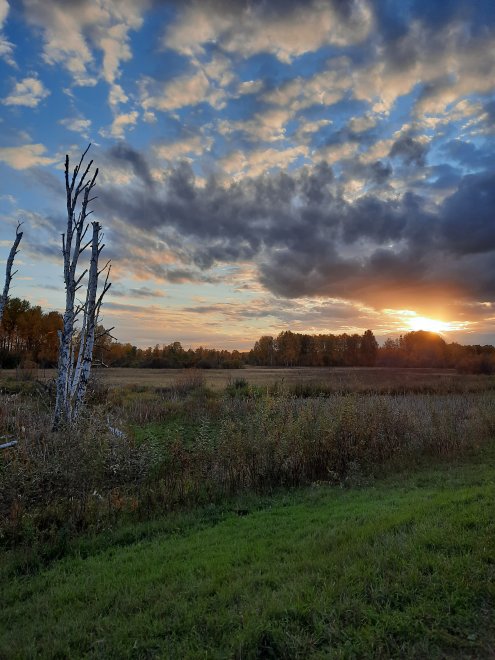 Остановись, мгновенье, ты прекрасно! -  