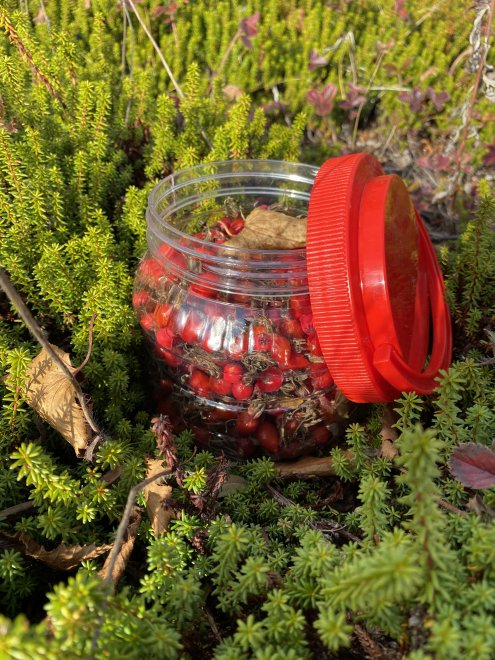 Я живой -   (1/6)