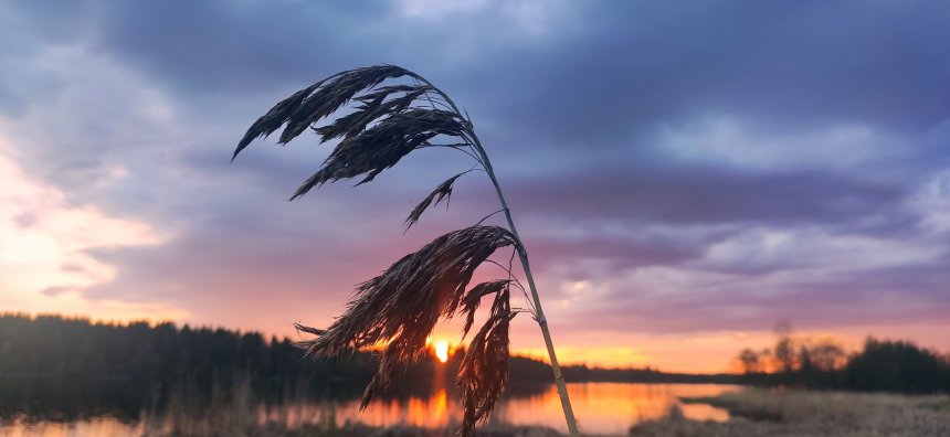 Вечер на озере - Сергей Горохов