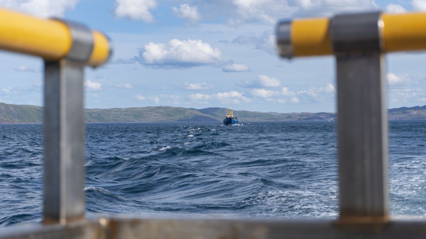 Баренцево море - Териберка / Barents Sea - Teriberka -   (1/8)
