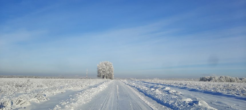 Зимний вектор -  
